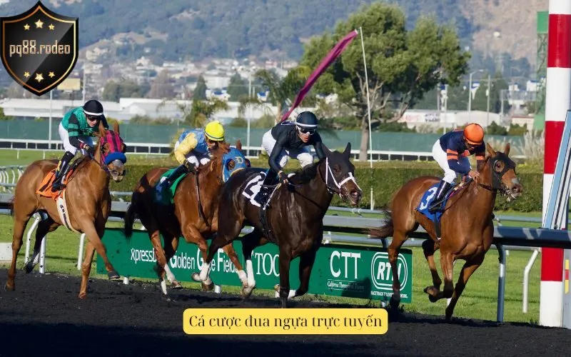 Cá cược đua ngựa trực tuyến