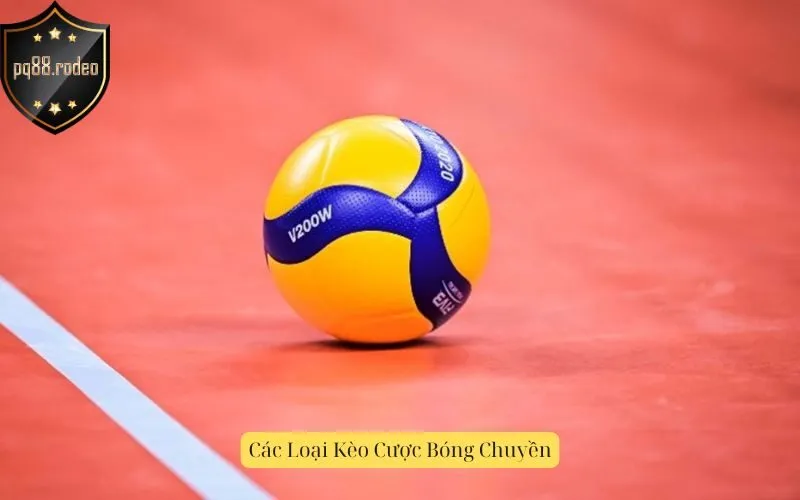 Các Loại Kèo Cược Bóng Chuyền