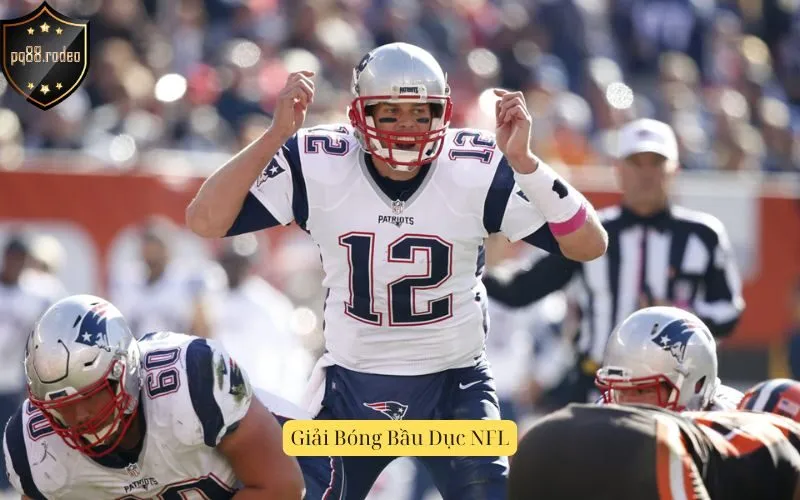 Giải Bóng Bầu Dục NFL