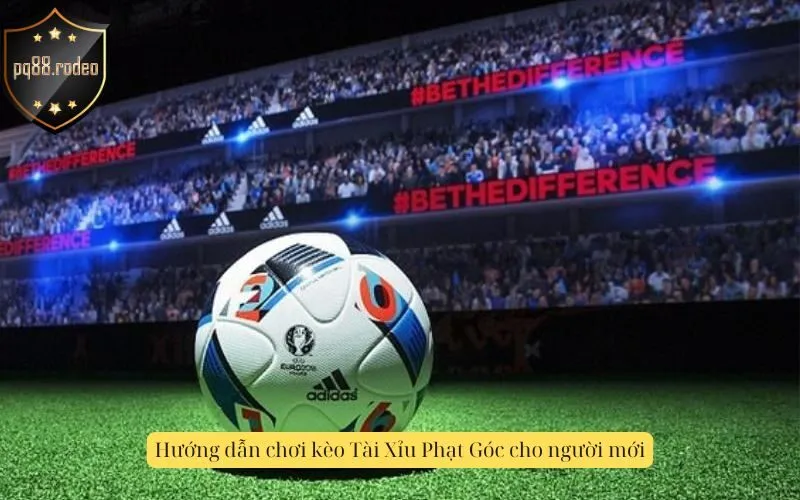 Hướng dẫn chơi kèo Tài Xỉu Phạt Góc cho người mới