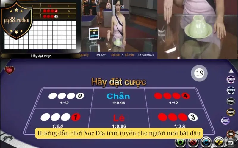 Hướng dẫn chơi Xóc Đĩa trực tuyến cho người mới bắt đầu