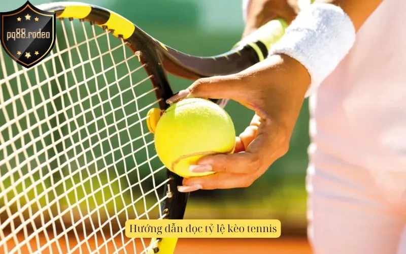 Hướng dẫn đọc tỷ lệ kèo tennis