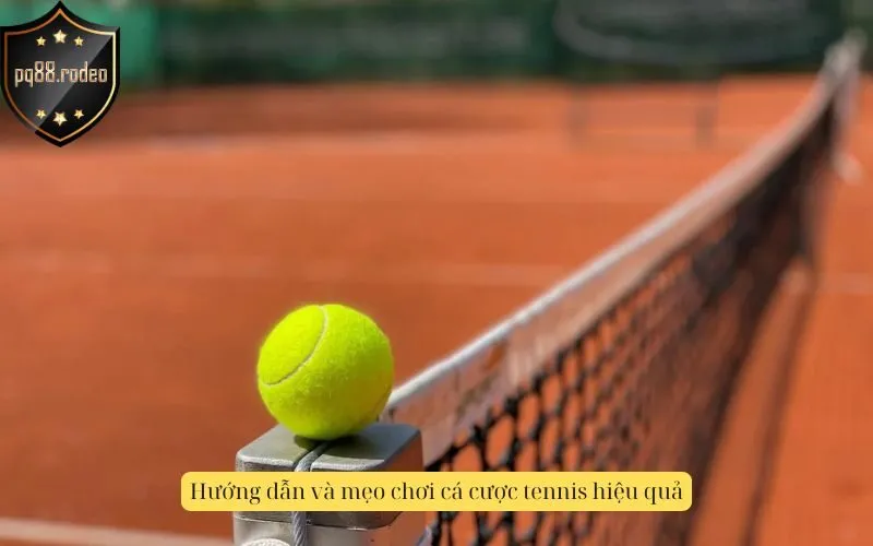 Hướng dẫn và mẹo chơi cá cược tennis hiệu quả