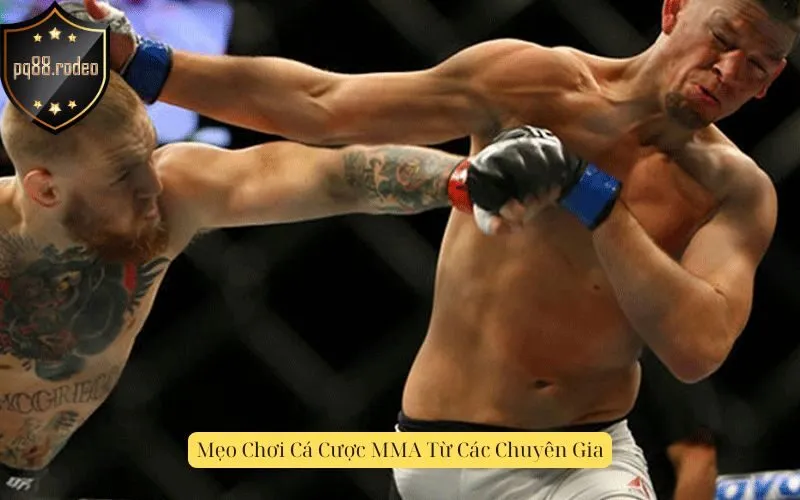 Mẹo Chơi Cá Cược MMA Từ Các Chuyên Gia