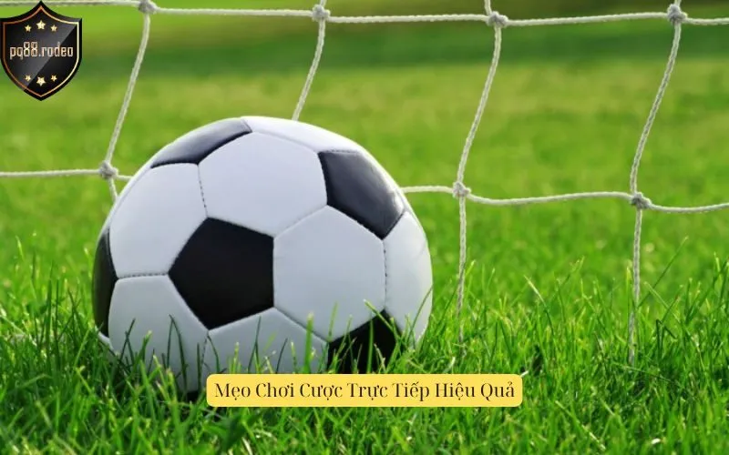 Mẹo Chơi Cược Trực Tiếp Hiệu Quả