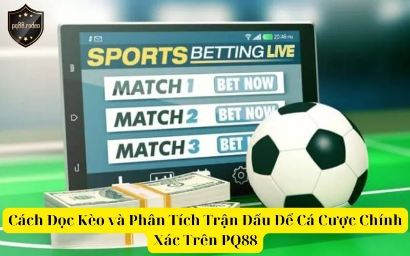 Cách Đọc Kèo và Phân Tích Trận Đấu Để Cá Cược Chính Xác Trên PQ88