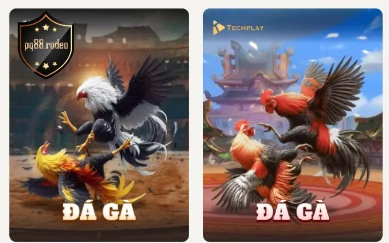 Đá Gà PQ88